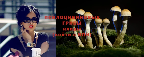 героин Алексин