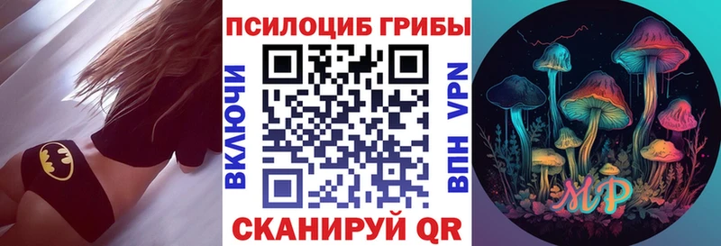 Псилоцибиновые грибы мицелий Елец